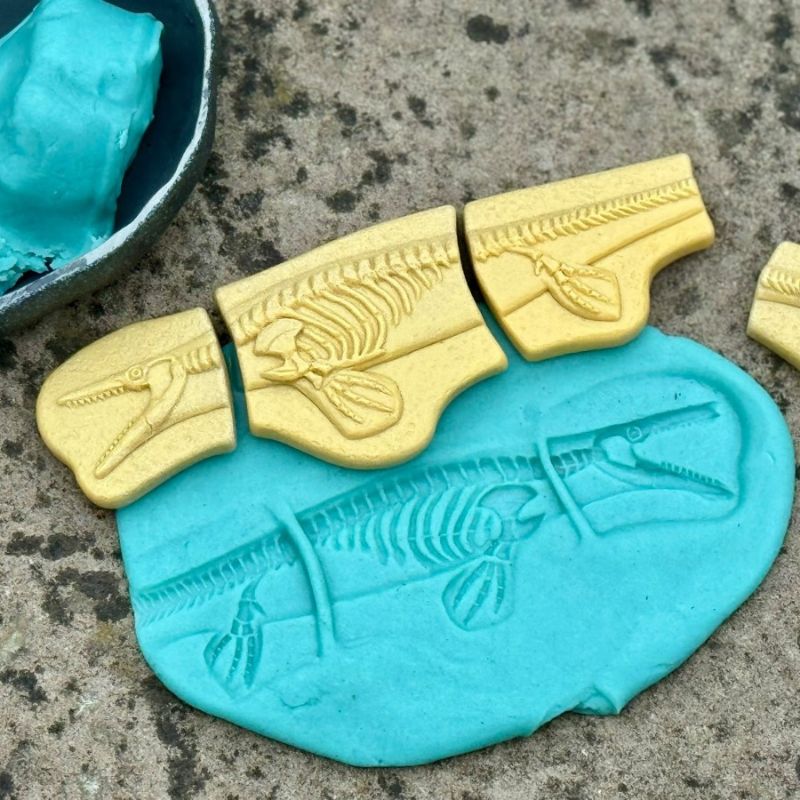 Yellow Door Dig & Discover  Pliosaur & Stegosaurus