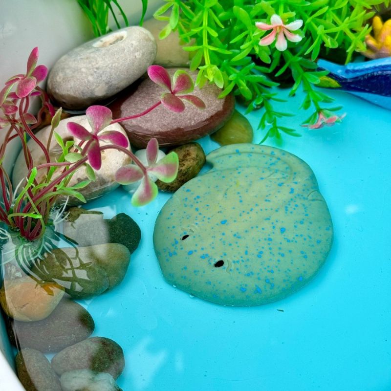 Yellow Door Sensory Play Stones - Fish